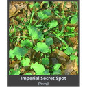 Whitetail Institute Imperial Secret Spot Young